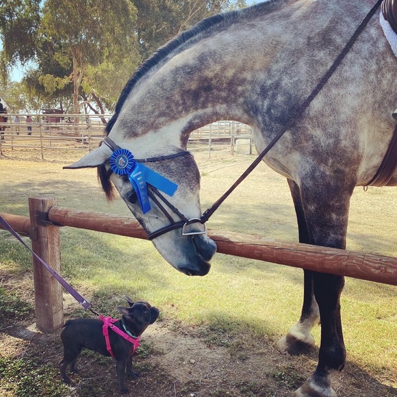 Get to know your Posher! - Picture 12 of 16